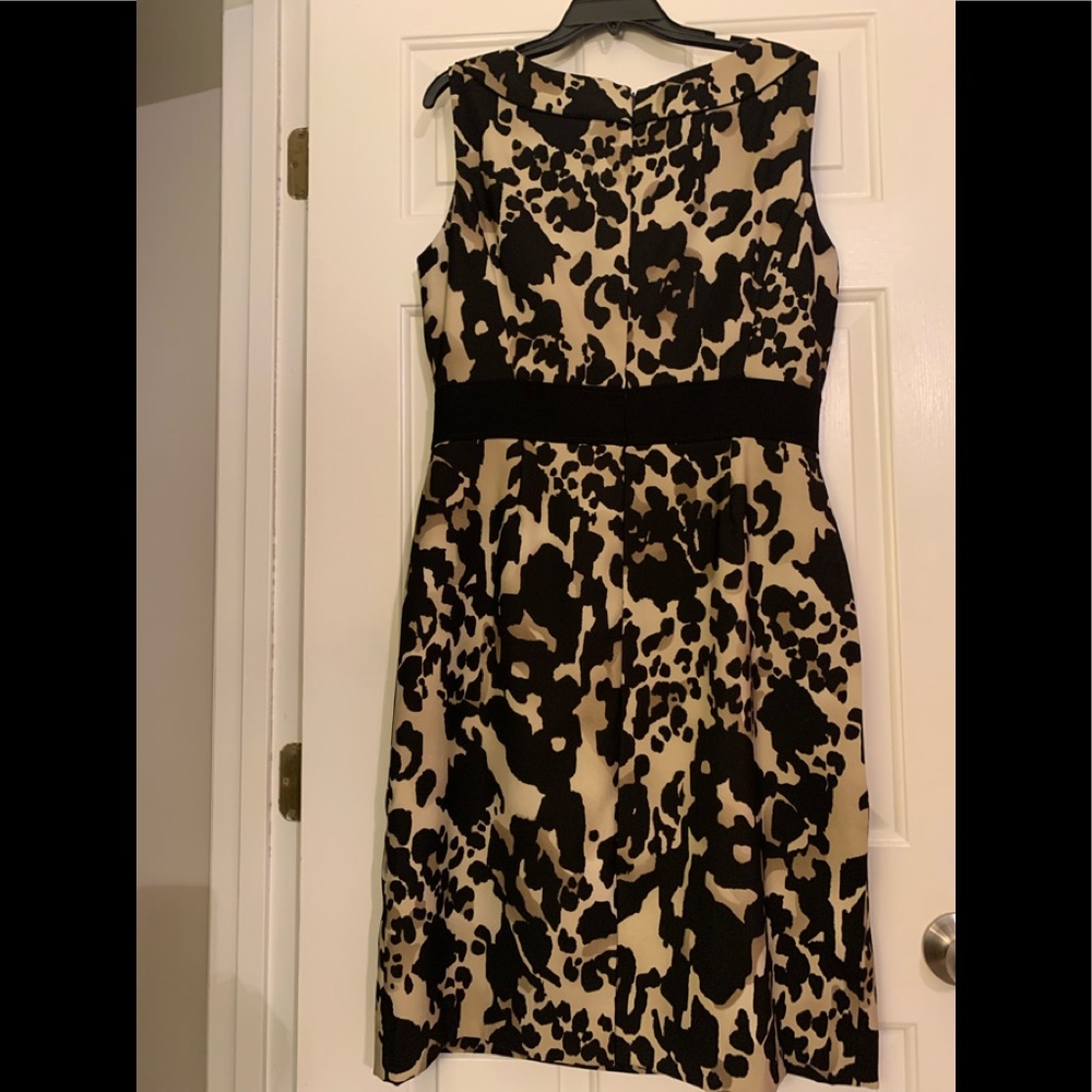 Preston & York Dress